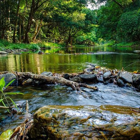 Cairns Homestead Redlynch Pet And Family Friendly エクステリア 写真