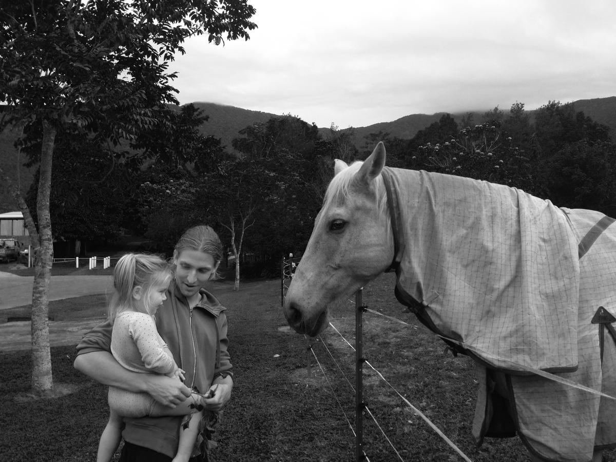 Cairns Homestead Redlynch Pet And Family Friendly エクステリア 写真