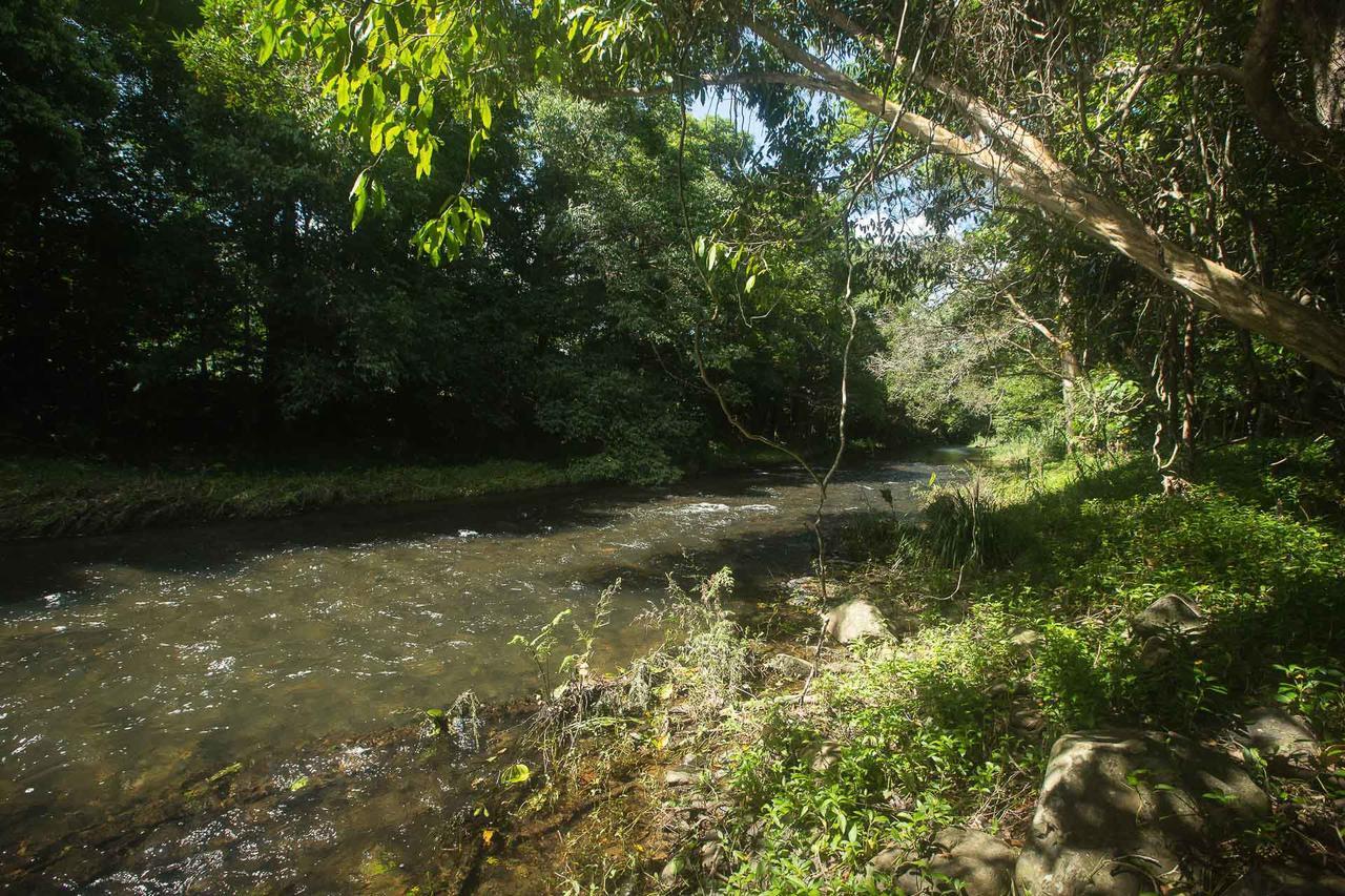 Cairns Homestead Redlynch Pet And Family Friendly エクステリア 写真