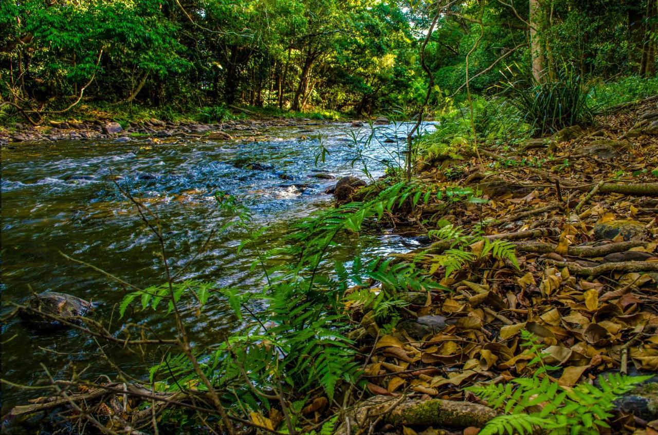 Cairns Homestead Redlynch Pet And Family Friendly エクステリア 写真