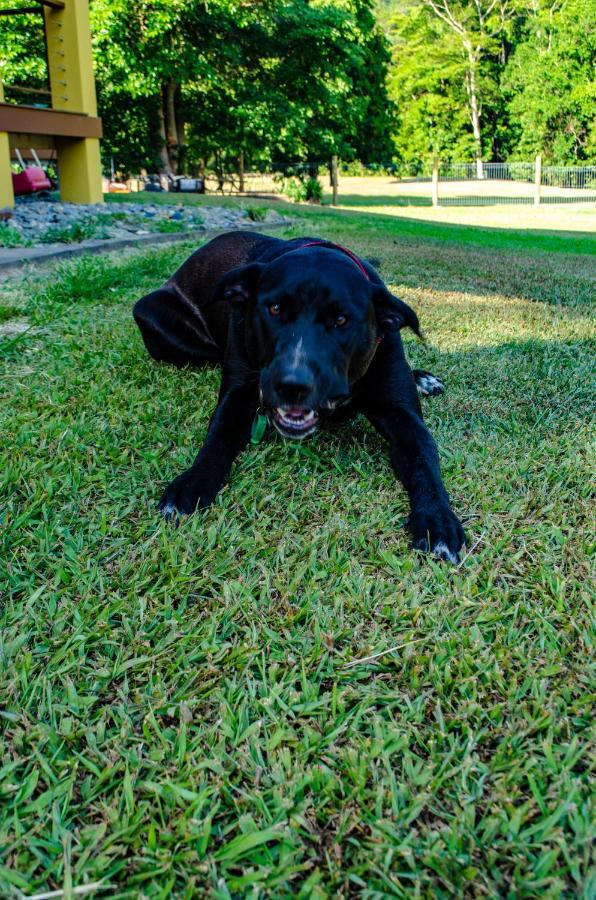 Cairns Homestead Redlynch Pet And Family Friendly エクステリア 写真