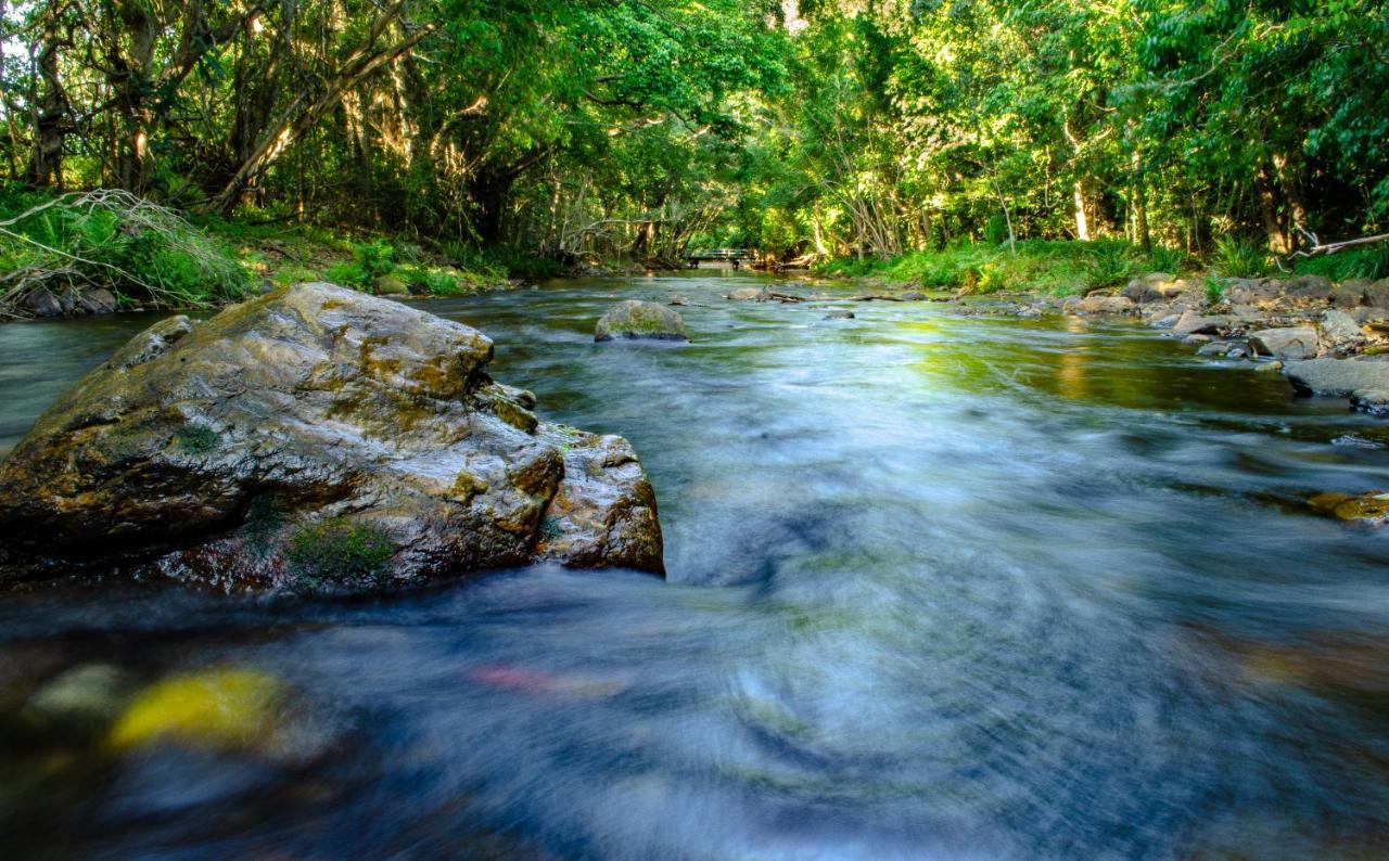 Cairns Homestead Redlynch Pet And Family Friendly エクステリア 写真