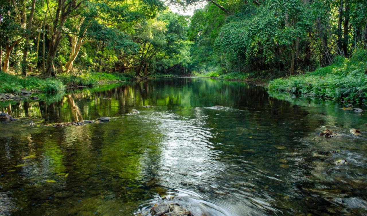 Cairns Homestead Redlynch Pet And Family Friendly エクステリア 写真