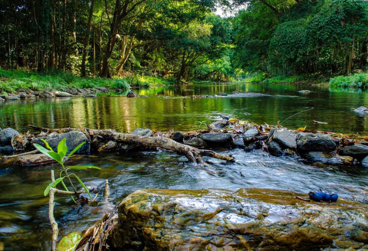 Cairns Homestead Redlynch Pet And Family Friendly エクステリア 写真